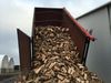 Brennholz im Container